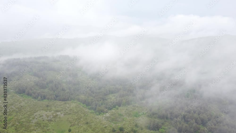 Aerial drone view to forest through the fog. Mountain landscape at cloudy day in spring. Green hills and trees, view from above. Aerial drone view to forest through the fog. Mountain landscape at cloudy day in spring. Green hills and trees, view from above.