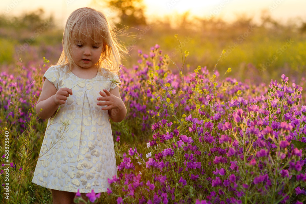 little beautiful girl in nature with flowers little beautiful girl in nature with flowers