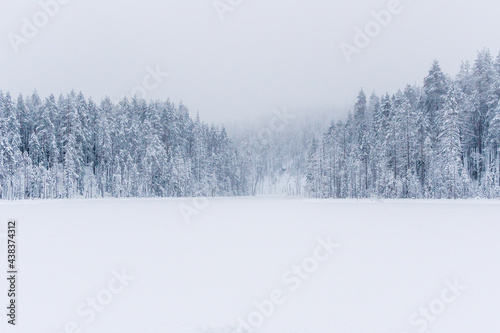 snow covered trees in winter © Antti
