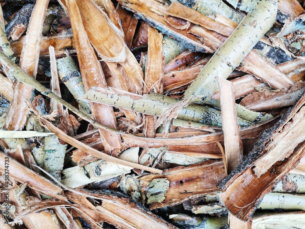 Tree bark. Bark from trees. Shells to be burned. Tree bark. Bark from trees. Shells to be burned.
