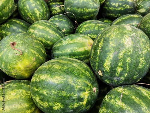 Watermelon. Watermelon fruit. Watermelons in the greengrocer aisle.