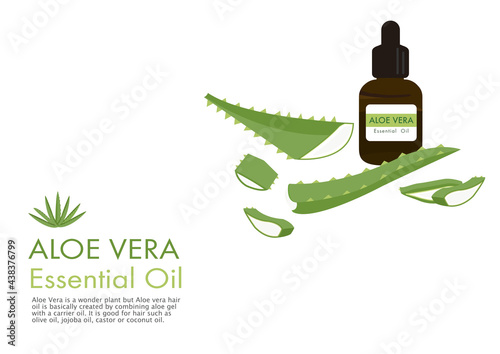 Aloe vera herb vector isolated on white background ep01
