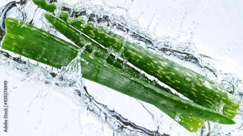 Aloe Vera leaves, freeze mo...