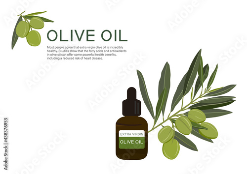 olive herb vector isolated on white background ep01 photo