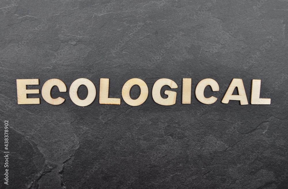 Obraz premium Begriff aus Hozbuchstaben auf Schieferplatte