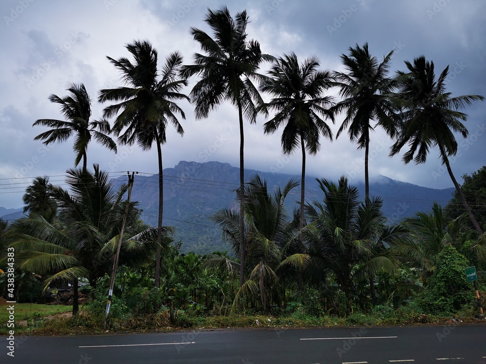 Kolli hills view from highway, Tamilnadu, India