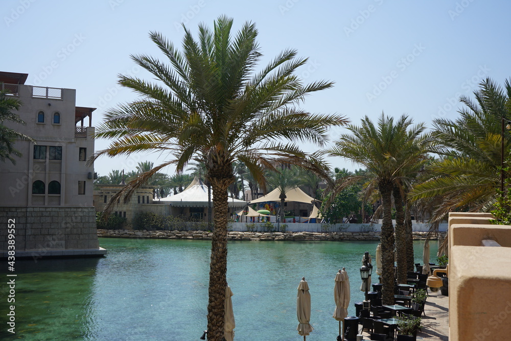 Landscape with palms and buildings in Dubai