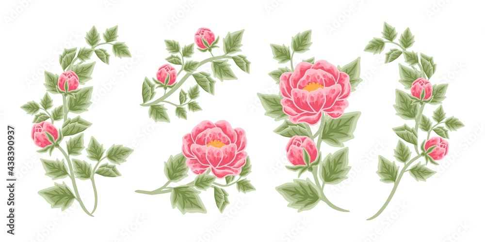 Hand drawn botanical peony flower arrangement, leaf branch vector illustrations and bouquet element collection