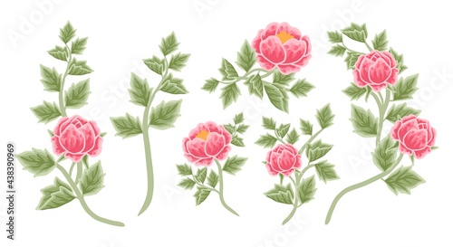 Hand drawn botanical peony flower arrangement  leaf branch vector illustrations and bouquet element collection