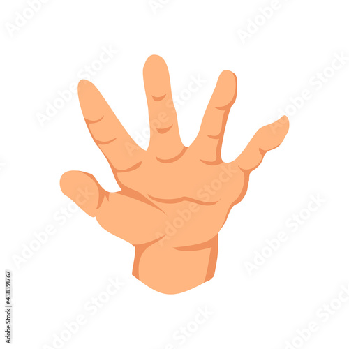Female hand sign. Human finger gesture sign. Sign language. Isolated illustration