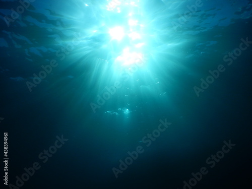 伊豆の海でダイビング中に水中から覗いたキラキラ眩しい陽射しの水面