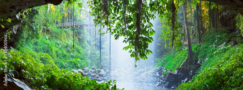 Panoramic view from behind waterfall plunging into a rainforest photo