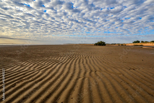 Patterns in sand leading to sun rising behind lone tree at low tide photo