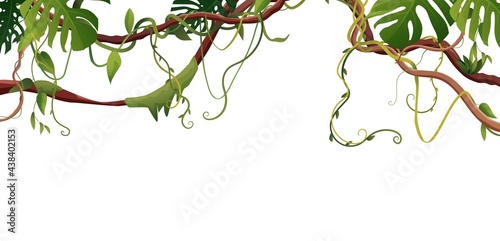 Liana or vine winding branches with tropic leaves background. Cartoon vector illustration. Jungle tropical climbing plants.