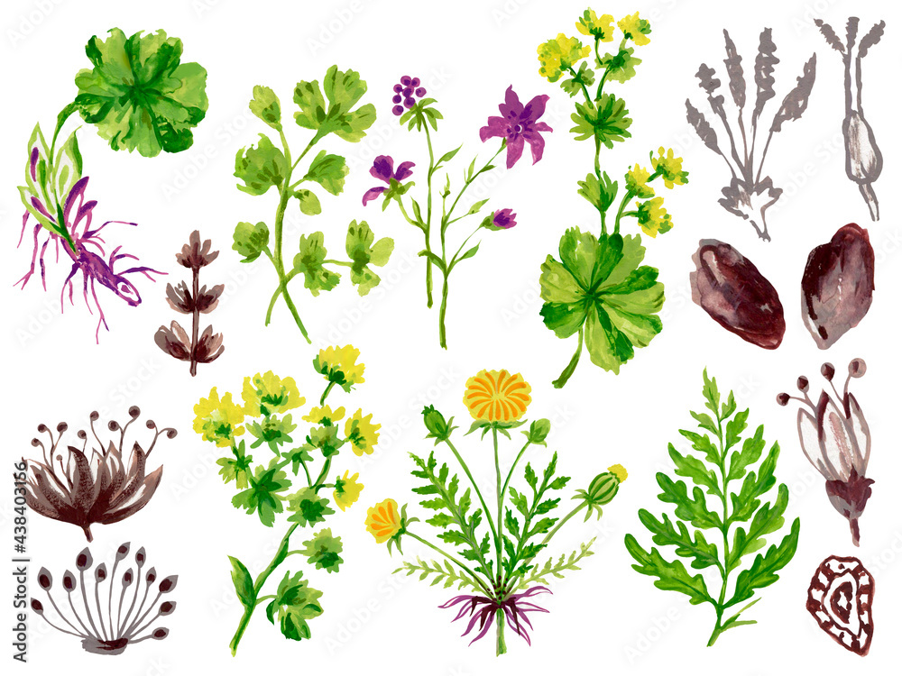 Naklejka premium Set of bouquets abstract herbal colorful flowers foliage and leaves design mediterranean Botanical illustration element