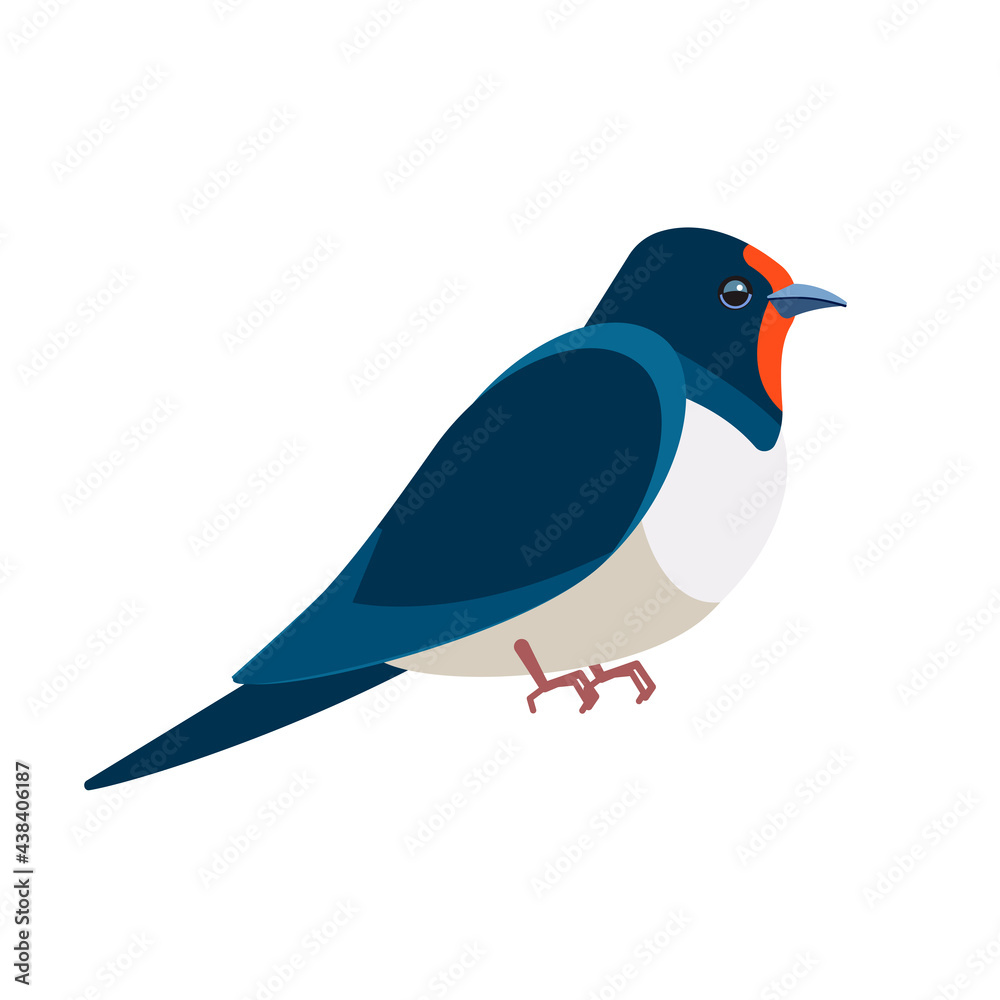 Swallows, martins, and saw-wings, or Hirundinidae, are a family of passerine birds. Bird Cartoon flat style beautiful character of ornithology, v vector illustration isolated on white Swallows, martins, and saw-wings, or Hirundinidae, are a family of passerine birds. Bird Cartoon flat style beautiful character of ornithology, v vector illustration isolated on white