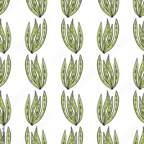 Cactus seamless pattern. Watercolor pattern of catus on white background. Green thorns Mexican succulent. Exotic cacti houseplant background