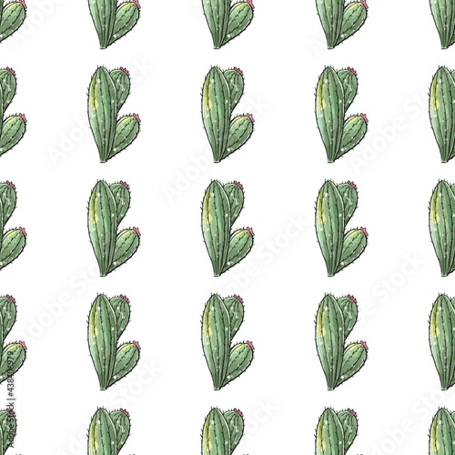 Cactus seamless pattern. Watercolor pattern of catus on white background. Green thorns Mexican succulent. Exotic cacti houseplant background