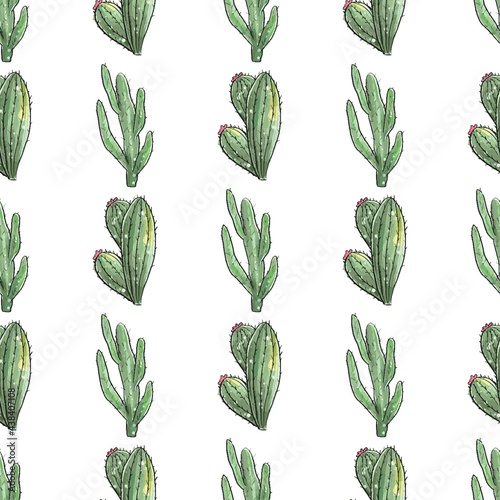 Cactus seamless pattern. Watercolor pattern of catus on white background. Green thorns Mexican succulent. Exotic cacti houseplant background