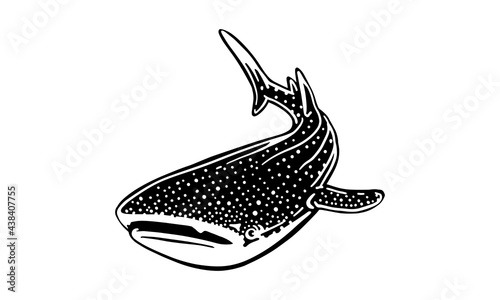 whale shark