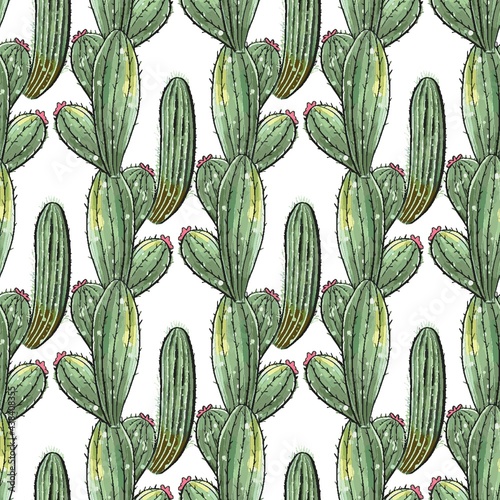 Cactus seamless pattern. Watercolor pattern of catus on white background. Green thorns Mexican succulent. Exotic cacti houseplant background