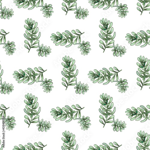Cactus seamless pattern. Watercolor pattern of catus on white background. Green thorns Mexican succulent. Exotic cacti houseplant background