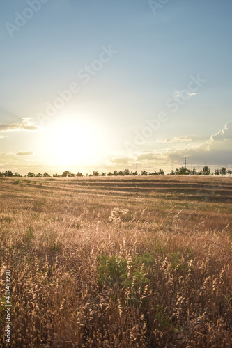Summer dry spanish field landscape with sunny sky and clouds. Wavy terrain.