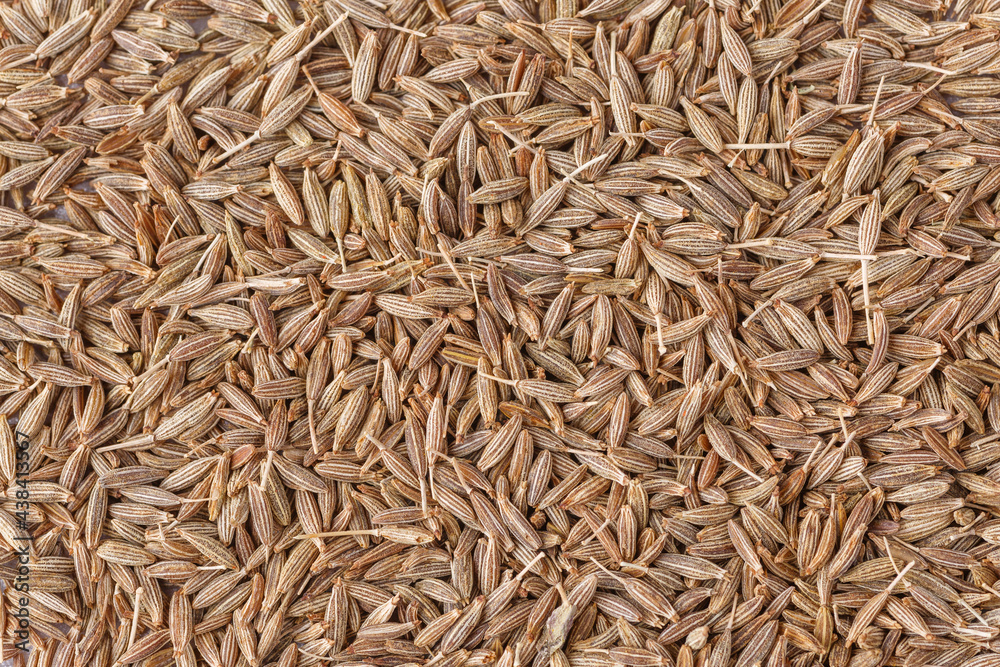 Cumin seed,Indian spices ;arranged on a white textured background which is mainly used for indian foods and traditional medicins.Textures of colorful spices and condiments. Cumin seed,Indian spices ;arranged on a white textured background which is mainly used for indian foods and traditional medicins.Textures of colorful spices and condiments.