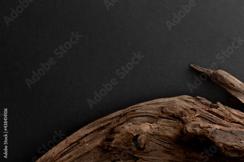 Dried bark on black background