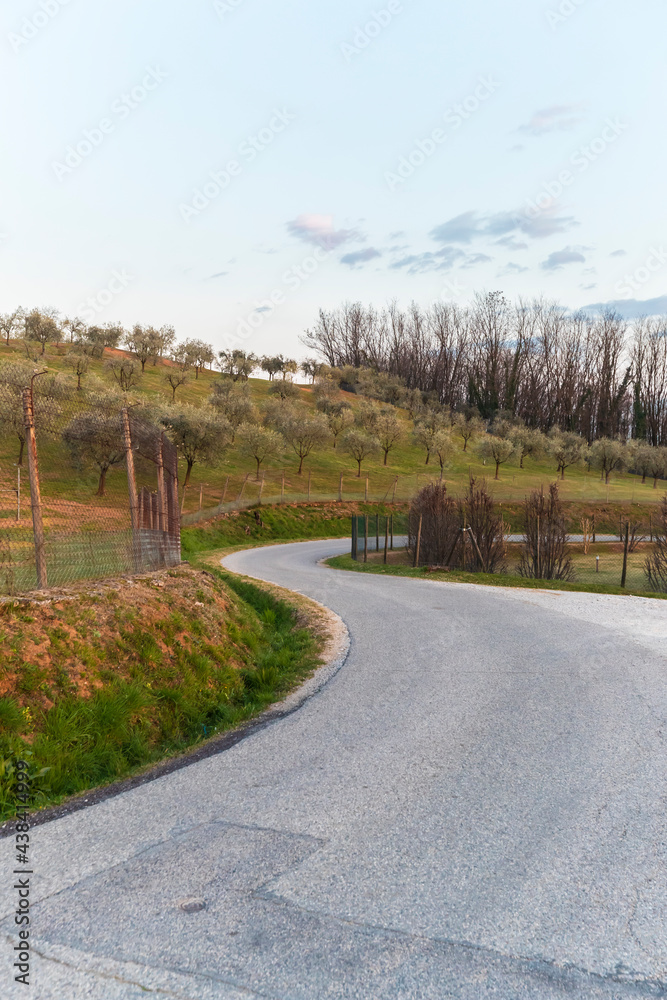 Fototapeta premium Road / Montello in Italy