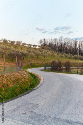 Road / Montello in Italy