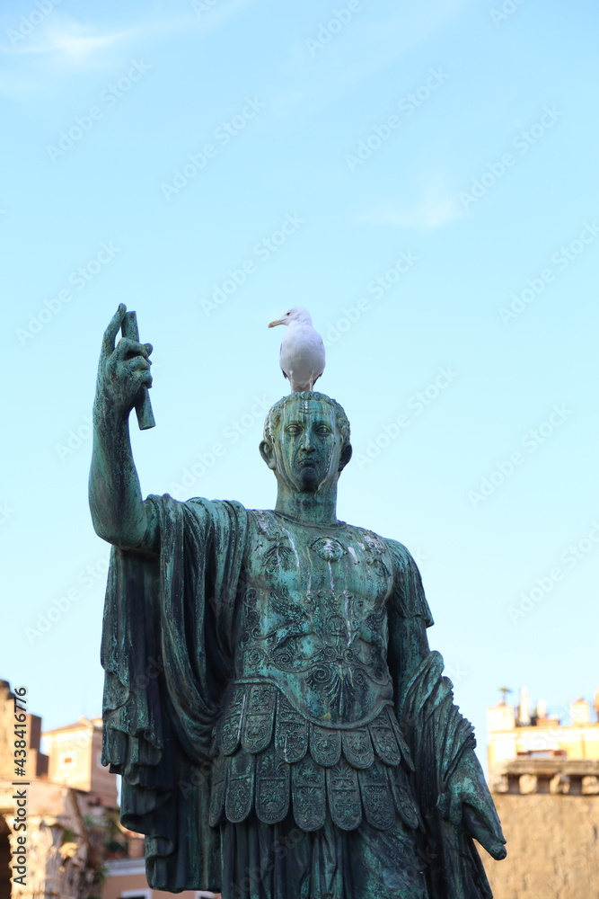 Obraz premium Seagull on the statue of Caesar