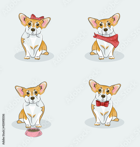 A set of corgi in different costumes: one wearing bandana, another bow tie, one more has a bowl  and the last one is a girl wearing a bow. Good for veterinar, dog's barber shop or food.
