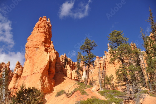 Beautiful orange hoodoos  view from the ground in Paunsaugunt Plateau of Bryce Canyon National Park  USA