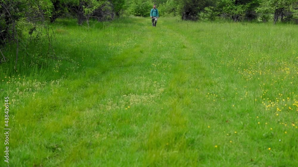 A man walks on the meadow with green grass during spring