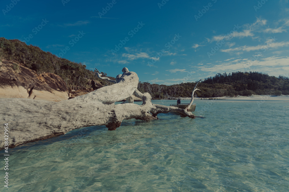 Fototapeta premium Whitesundays