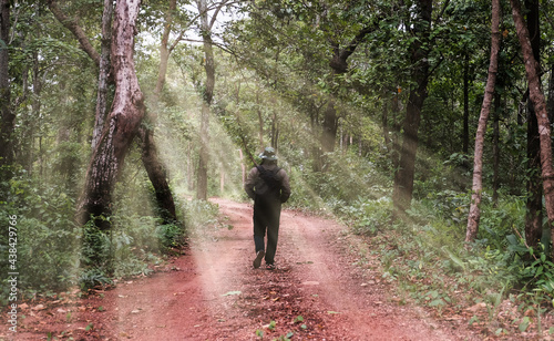 A man in trekking clothes is walking along a path inside a forest lit by a beautiful line of sunlight.