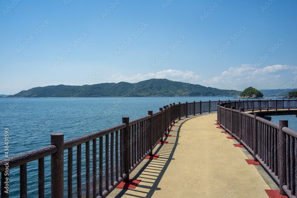海 海
