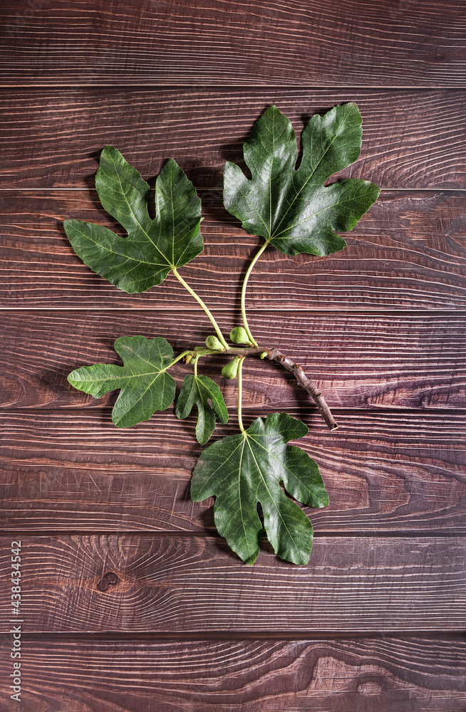Flat lay photography of fig leaves on a table of old wood.