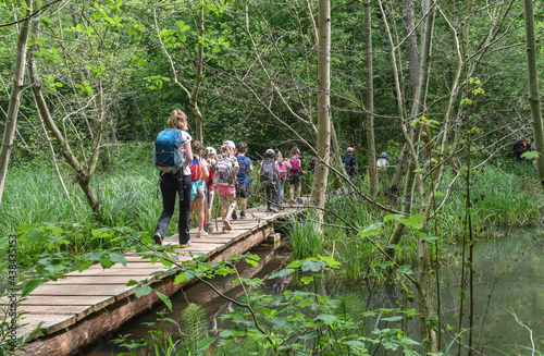 enfant detente excursion scolaire bois passerelle ruisseau nature Belgique Wallonie Lauzelle environnement 
