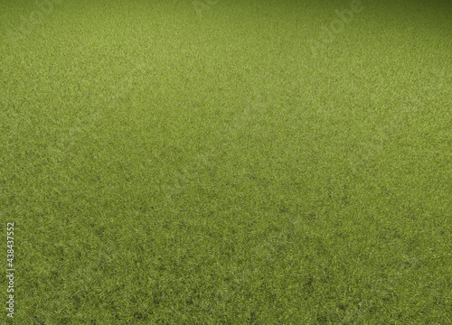 A green lawn with text free space as a sports field background