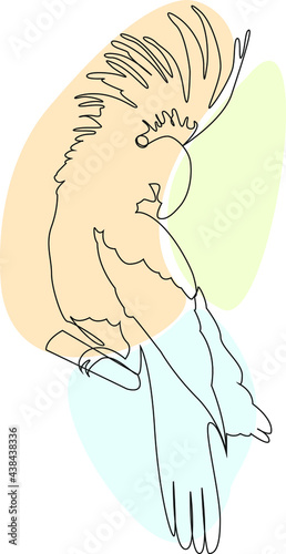 A crested parrot on a branch. Linart vector illustration. Bird abstract drawing
