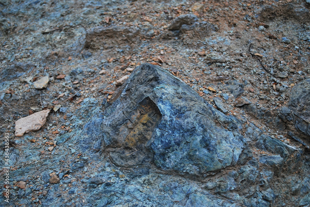 Naklejka premium Real and quality images from natural world