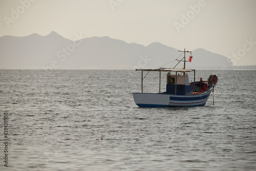 fishing boats in the background with piles of posidonia algae on the Mediterranean islands