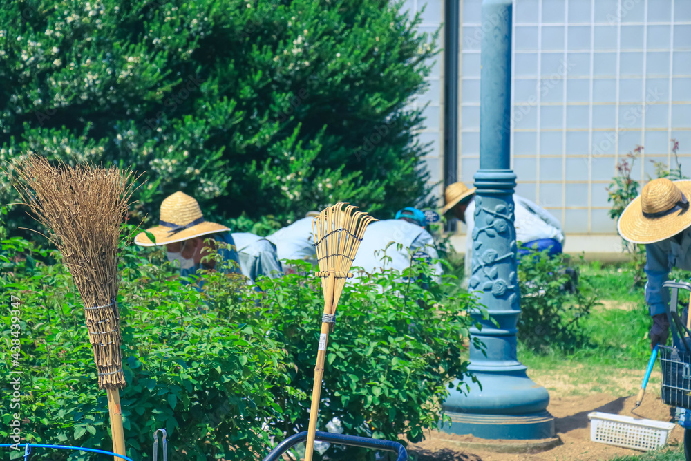 Fototapeta premium 庭の手入れ ガーデニング