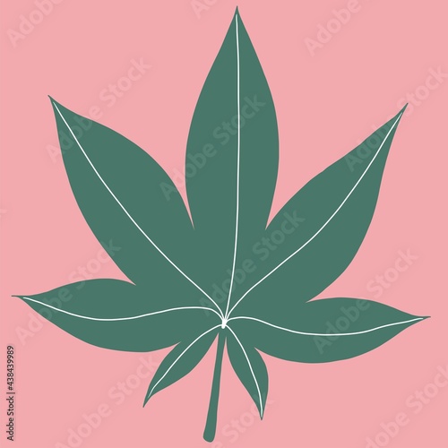 Cannabis leaf freehand drawing on pink background.