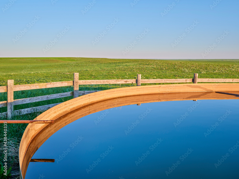 Obraz premium cattle water tank in a green prairie - Pawnee National Grassland in northern Colorado, late spring scenery