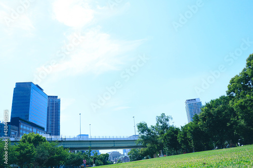 公園の風景 晴天