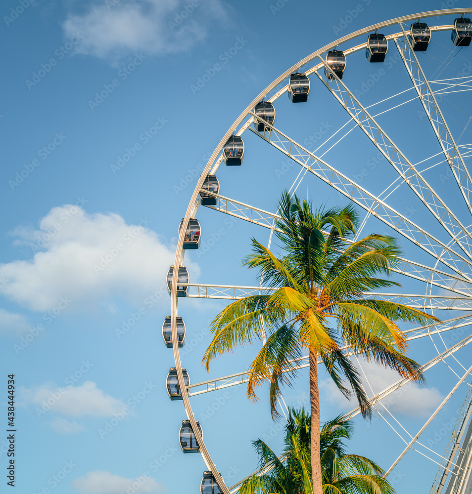 ferris wheel palm tropical vacation miami florida usa blue sky clouds attraction lovely day summer ferris wheel palm tropical vacation miami florida usa blue sky clouds attraction lovely day summer