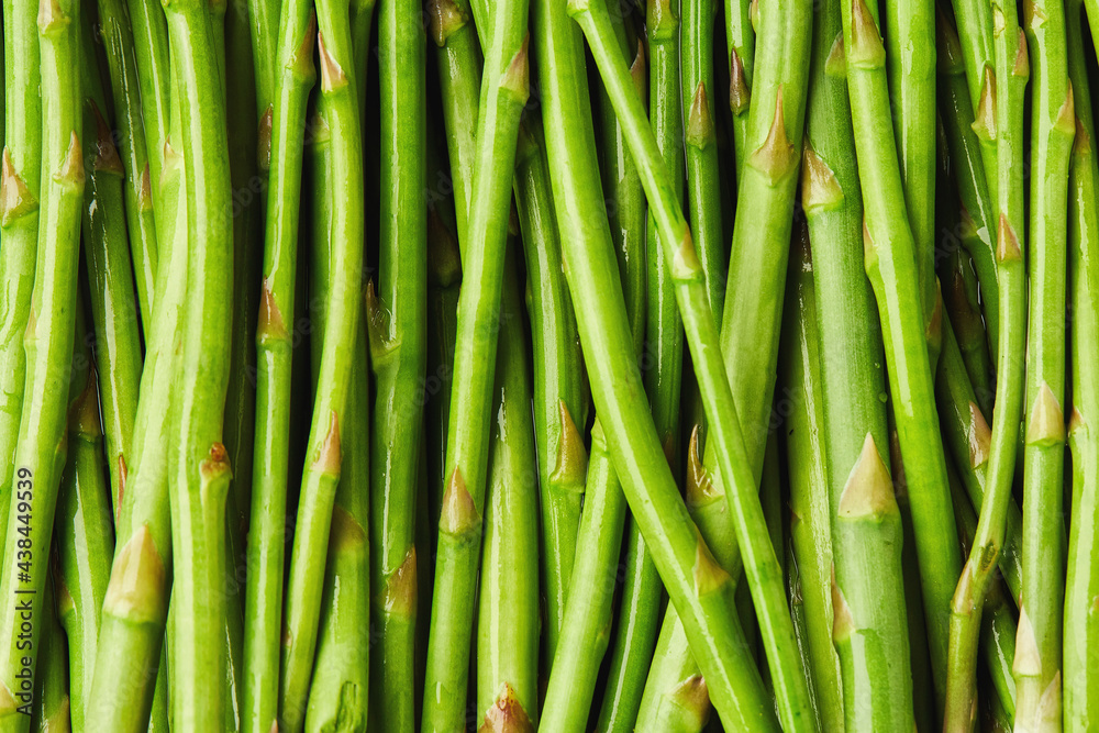 Asparagus isolated, close up. Asparagus stalks macro on a white background Asparagus isolated, close up. Asparagus stalks macro on a white background